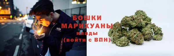 ПСИЛОЦИБИНОВЫЕ ГРИБЫ Михайловка