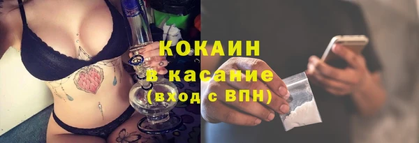 МДПВ Михайлов