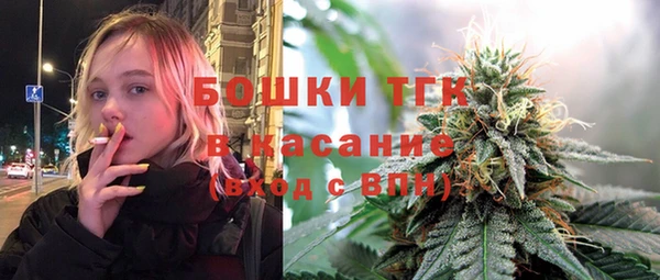 МДПВ Михайлов