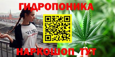 молекула духа Абакан