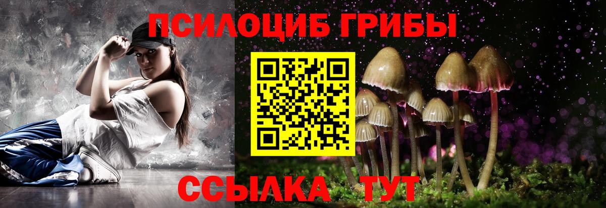 Ртищево  Псилоцибиновые грибы GOLDEN TEACHER  наркошоп  Псилоцибиновые грибы MAGIC MUSHROOMS  Вход с VPN 