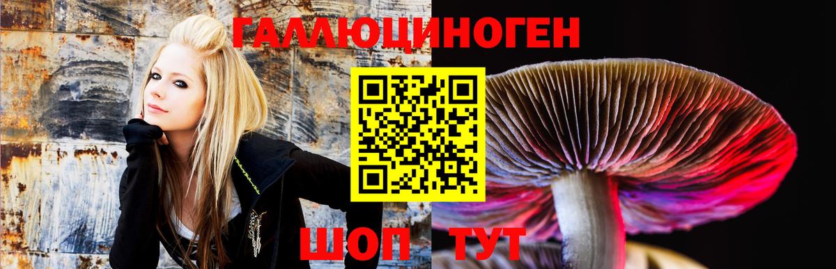 Псилоцибиновые грибы Magic Shrooms Ртищево